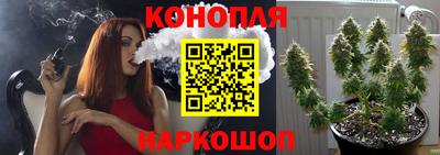 мдпв Гатчина