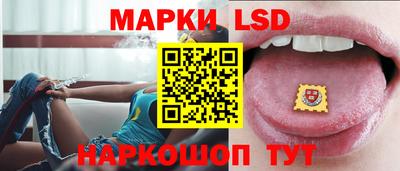 мдпв Гатчина