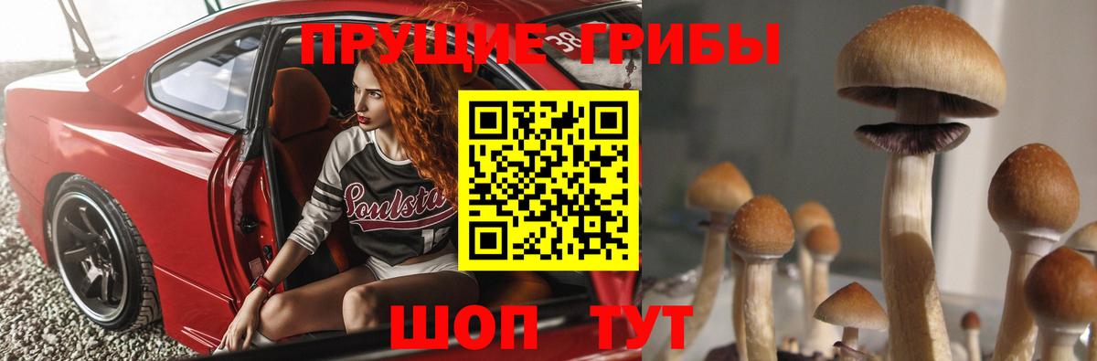 Псилоцибиновые грибы GOLDEN TEACHER  Псилоцибиновые грибы MAGIC MUSHROOMS  Вход с VPN  Орехово-Зуево 